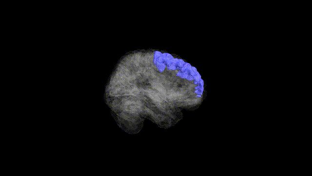 Full Brain Black