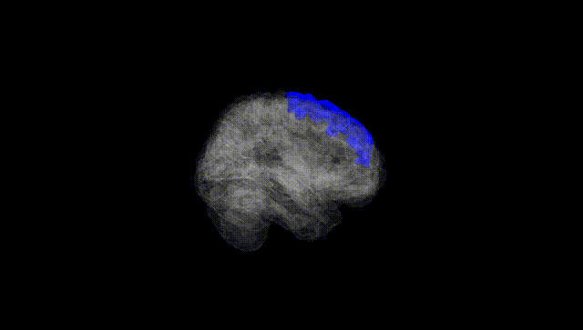 Full Brain Black