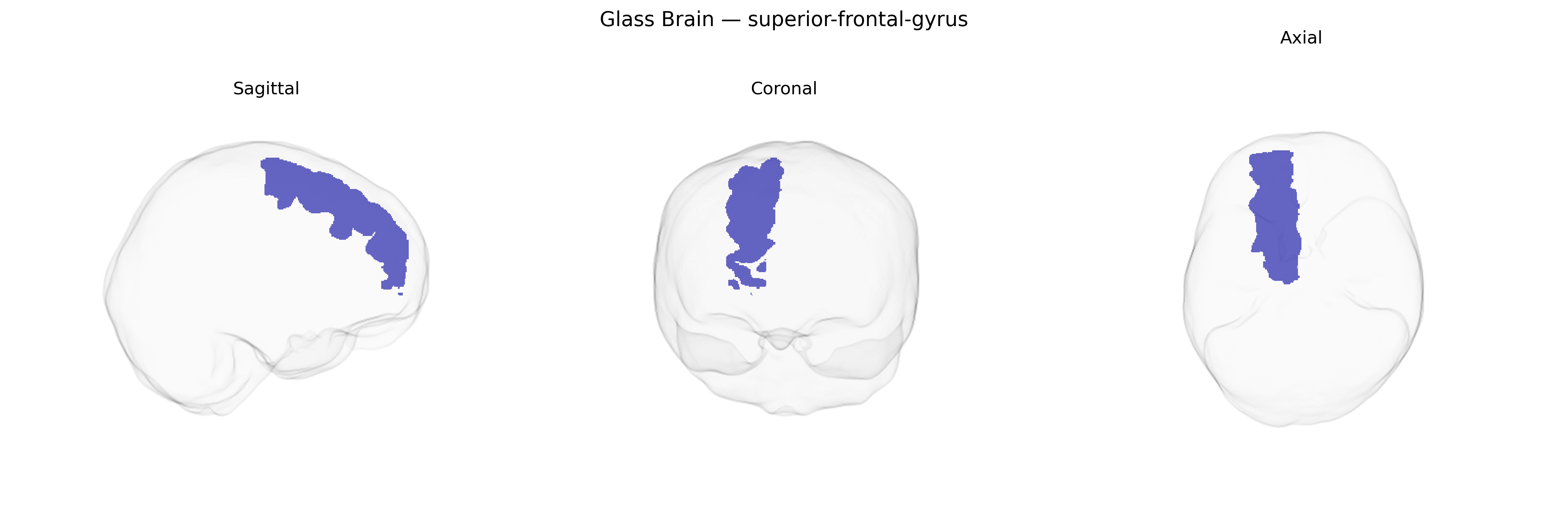 Triplanar Ghost Brain