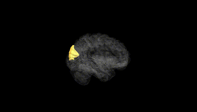 Hemisphere Black