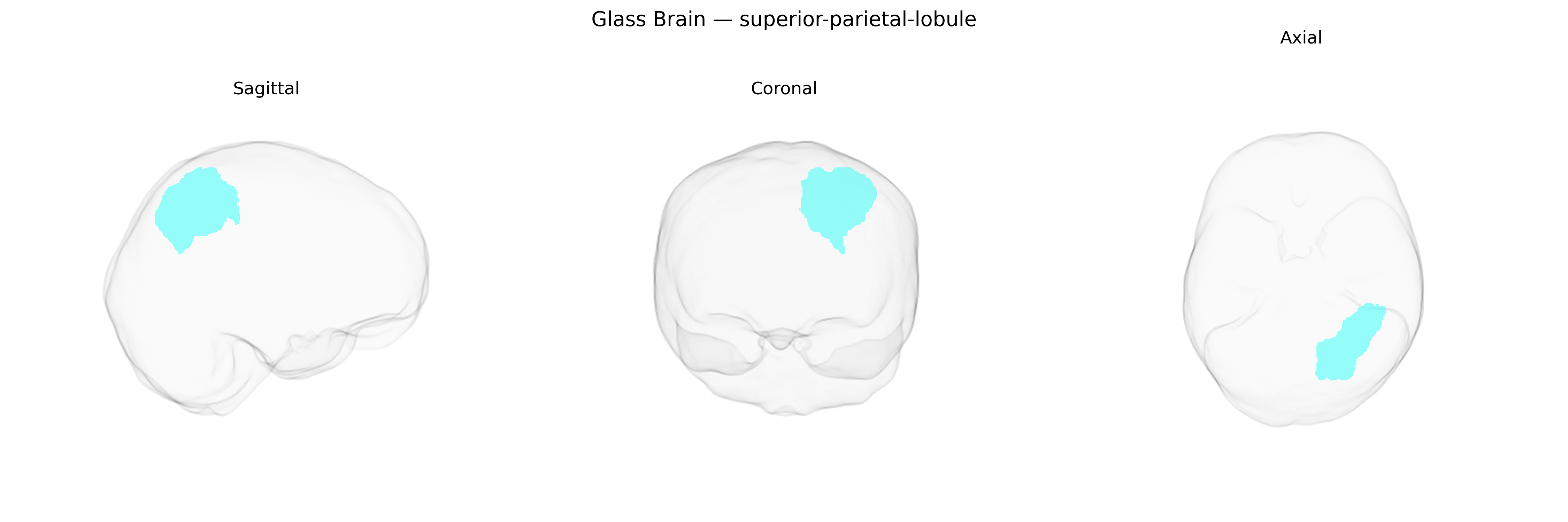 Triplanar Ghost Brain