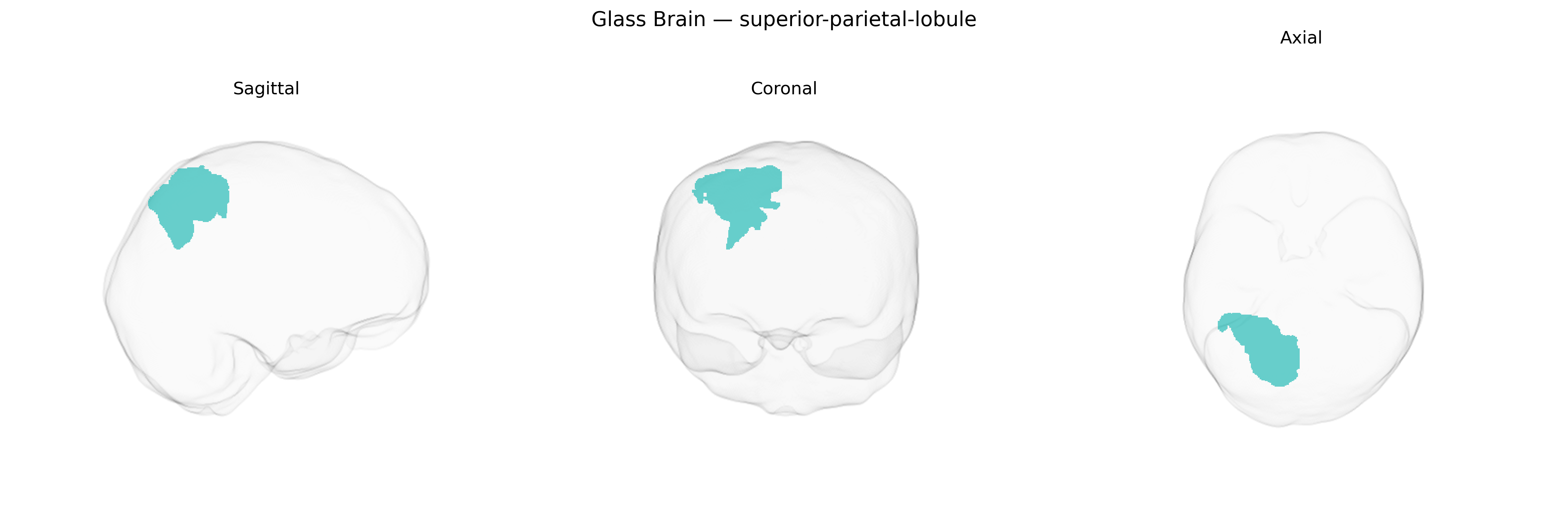 Triplanar Ghost Brain