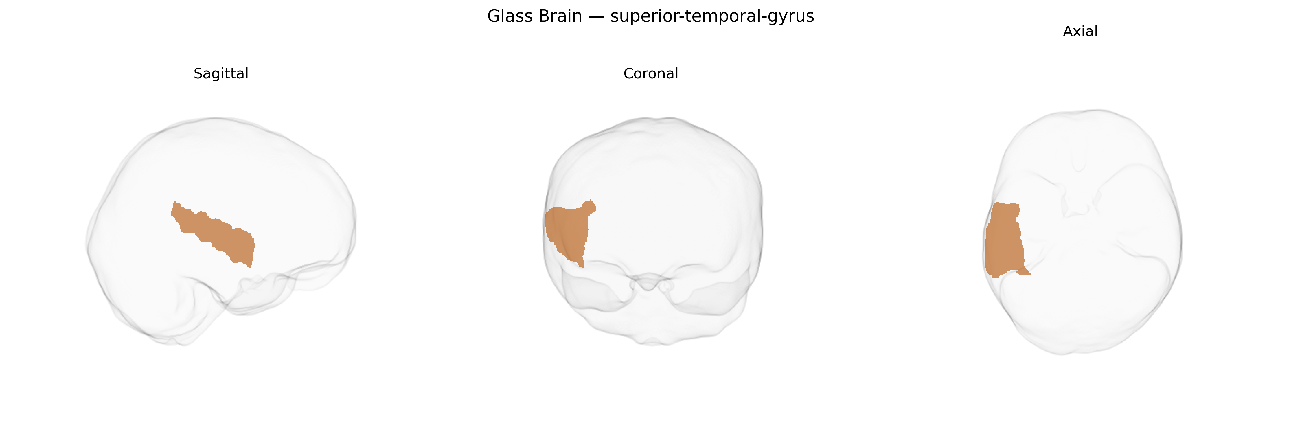 Triplanar Ghost Brain