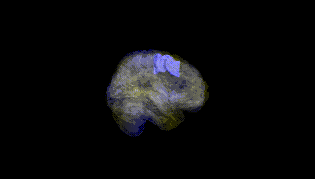 Full Brain Black