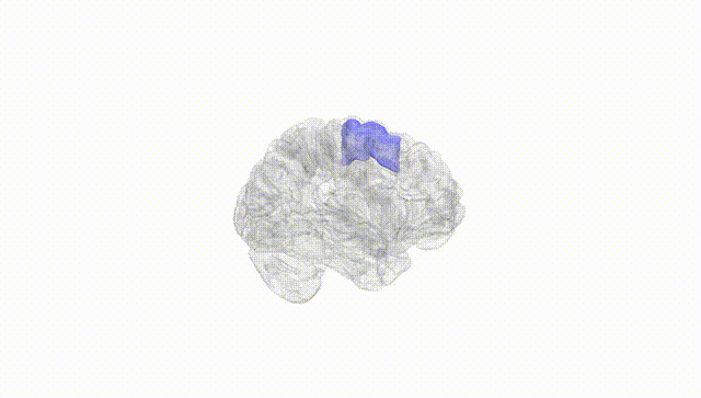 Hemisphere White