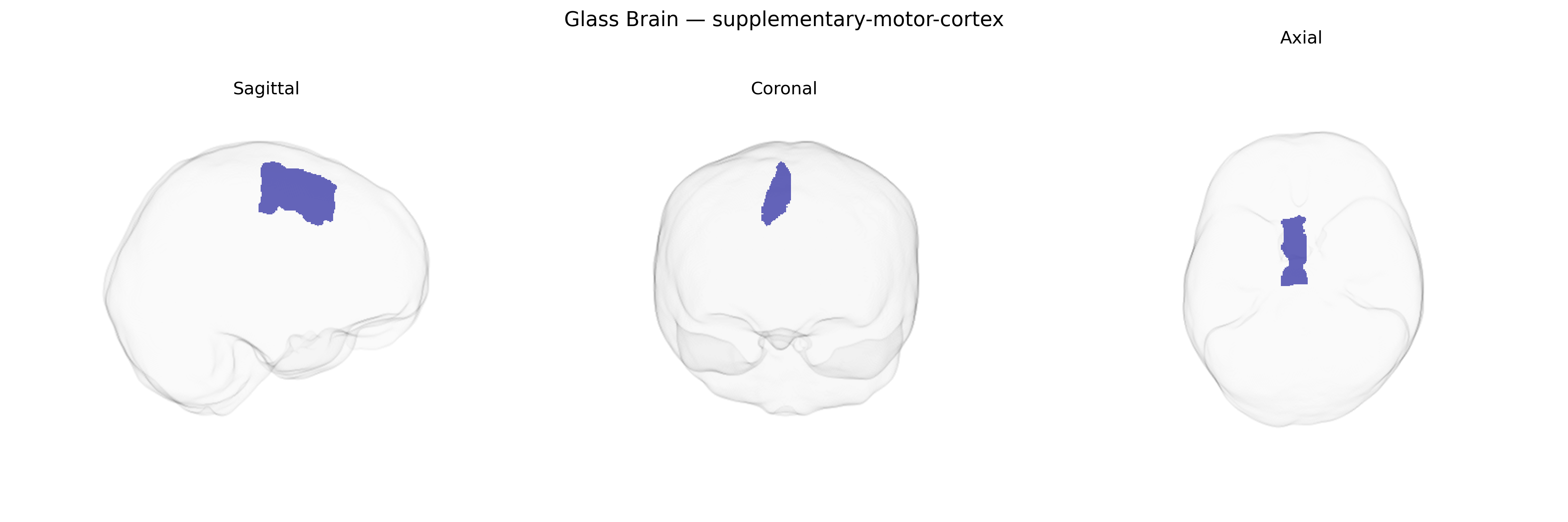 Triplanar Ghost Brain