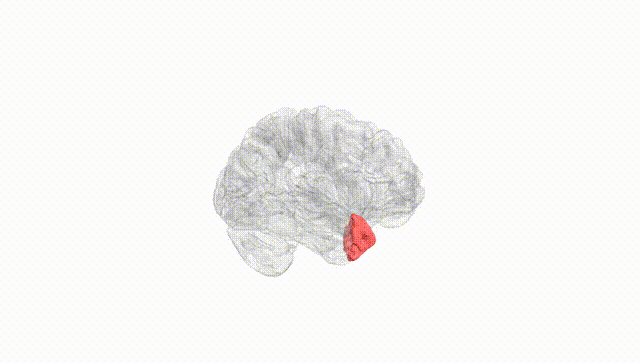Hemisphere White