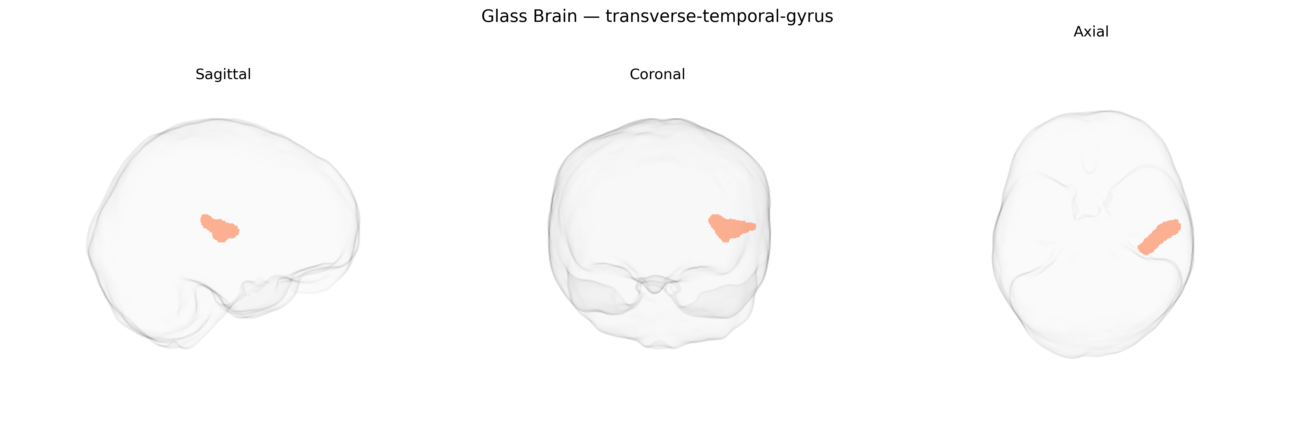 Triplanar Ghost Brain