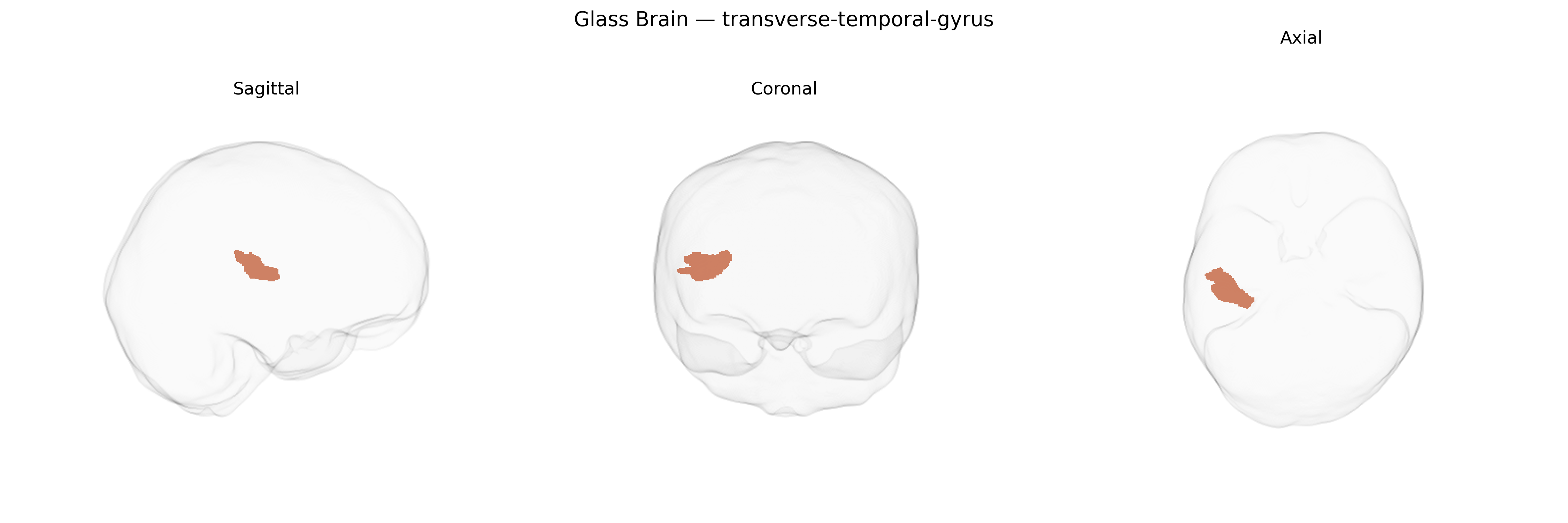 Triplanar Ghost Brain